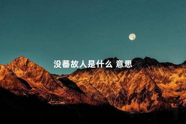 没蕃故人是什么 意思